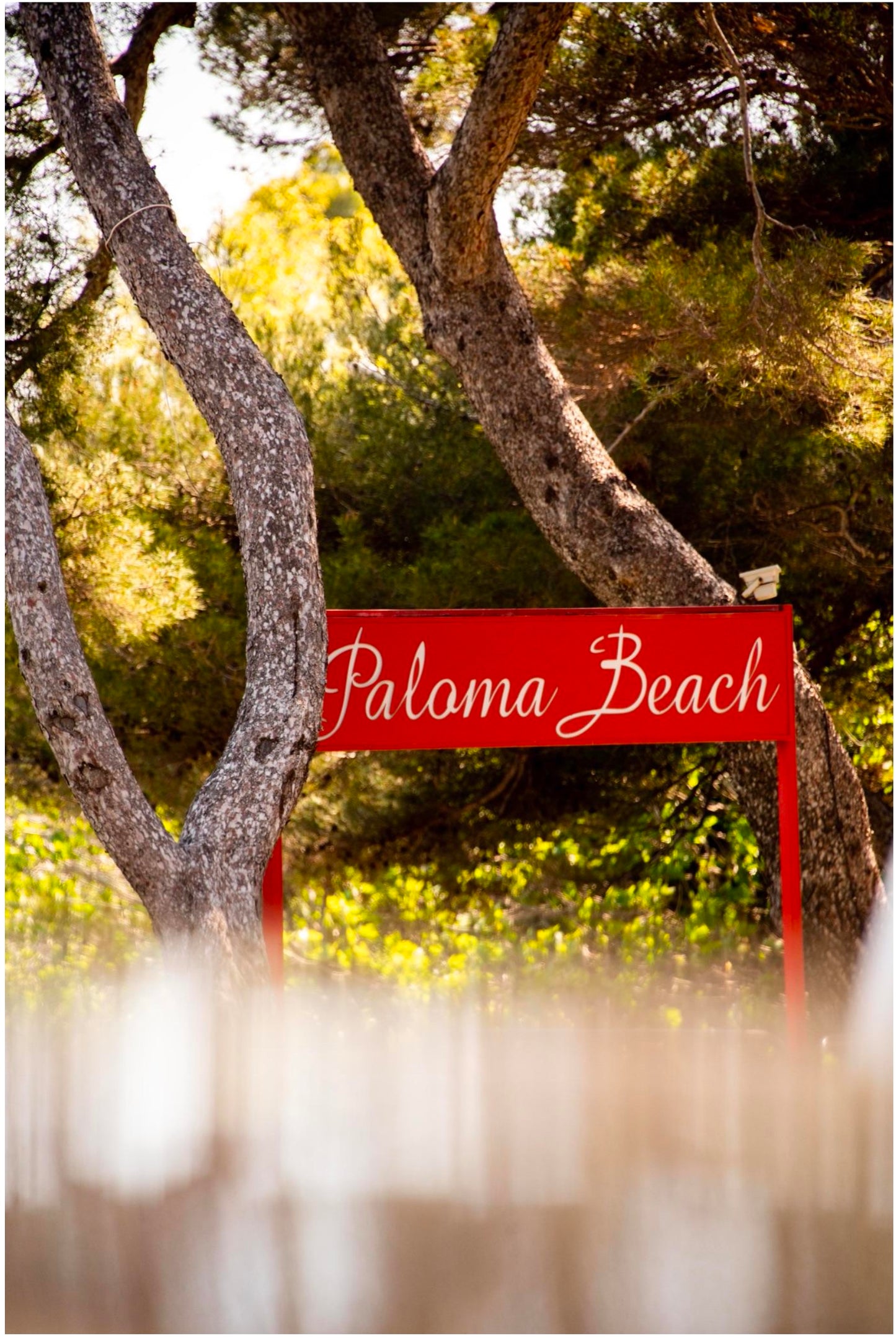 Photography by Marie Genin & Margot Champoussin "PALOMA"